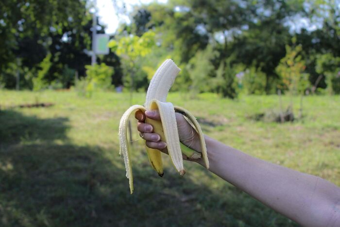 Hand holding a peeled banana outdoors, highlighting everyday items that seem harmless but can be dangerous.