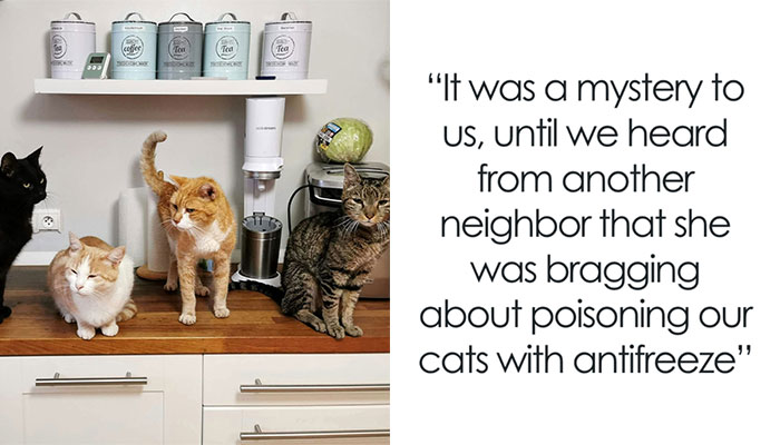 Man Comes Up With A Plan To Annoy Neighbor For Years After She Poisons His Cats