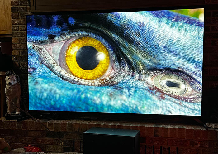Close-up of a reptilian eye displayed on a television screen; represents a flop in "The Next Big Thing" concepts.