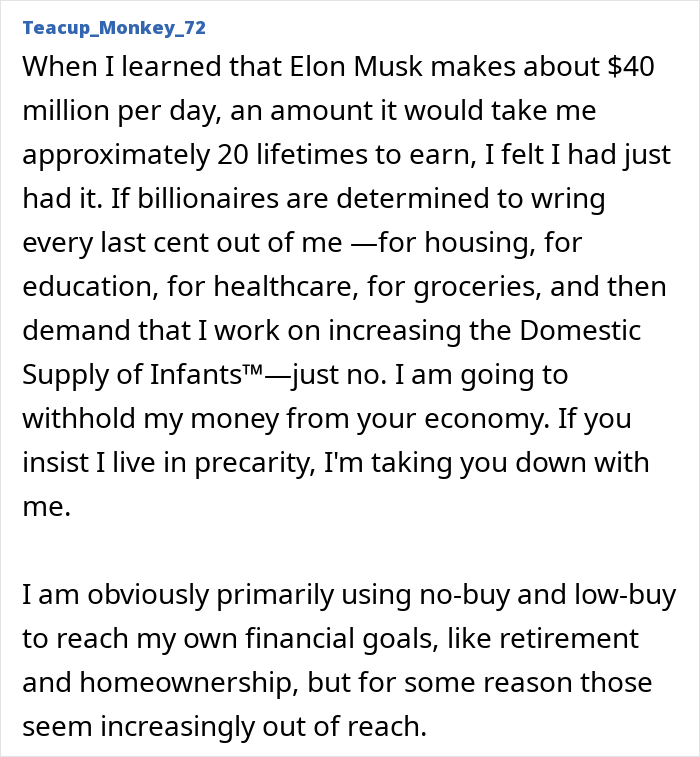 Text discussing the decision to participate in "No-Buy 2025" against consumerism.