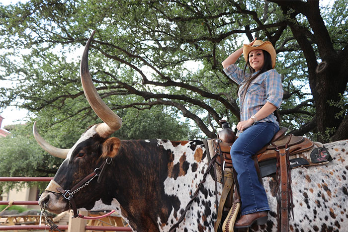 Woman in a cowboy hat riding a large Texas Longhorn, showcasing unique US culture and traditions outdoors.
