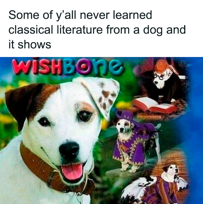 90s dog Wishbone dressed as literary characters, highlighting humor and nostalgia with "Some of y'all" meme text.