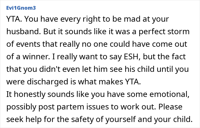 Text comment on a forum discussing a husband choosing his female best friend over child's birth.