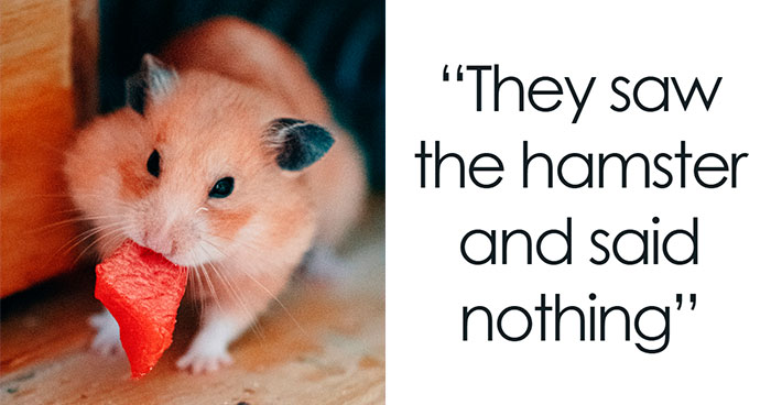 30 People Share What Happened After Their Landlord Came Across Their Non-Existent Pet