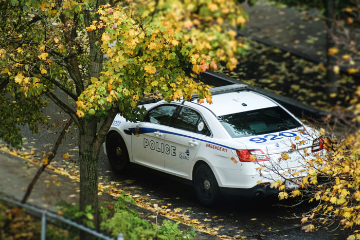 Police car parked on a leafy street, addressing a report involving half-siblings.