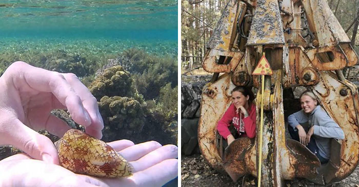 31 Personas que hicieron una foto de algo sin darse cuenta de lo peligroso que era