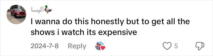 Commenter discusses the cost of collecting physical media for shows they watch.