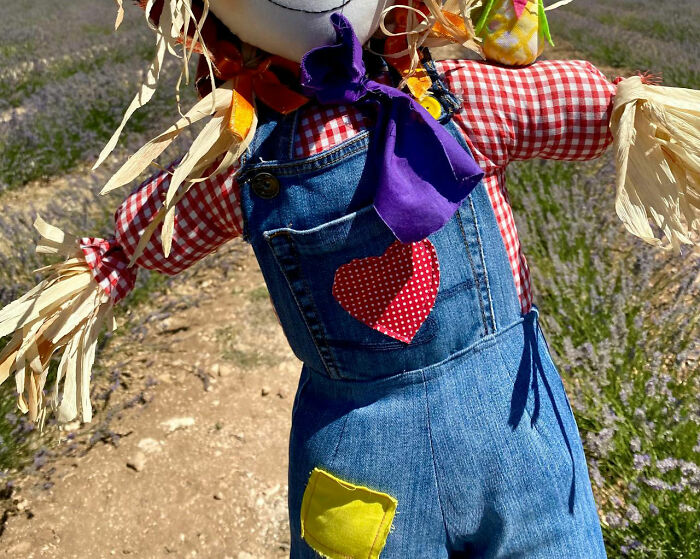 Scarecrow with a heart patch on overalls, spotted in a field. Creepy and weird find in someone else’s house.