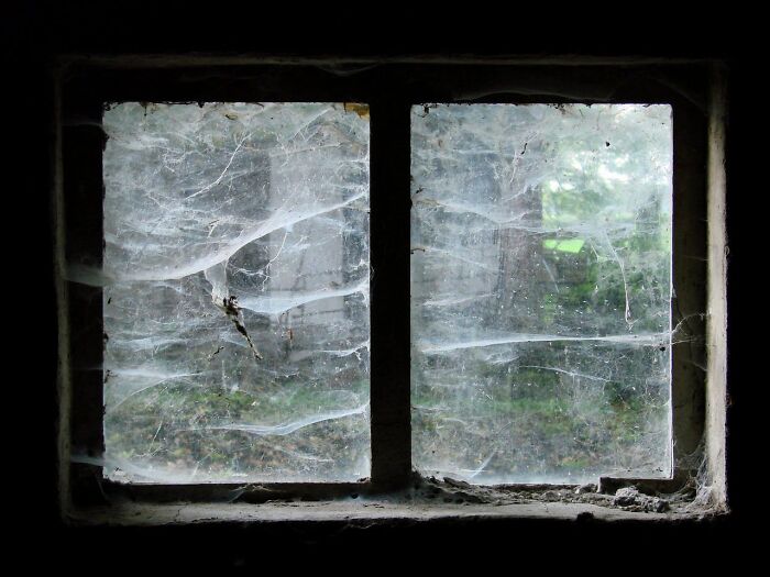 Old dusty window covered with spider webs in a dark room, symbolizing obvious things you've just become aware of.