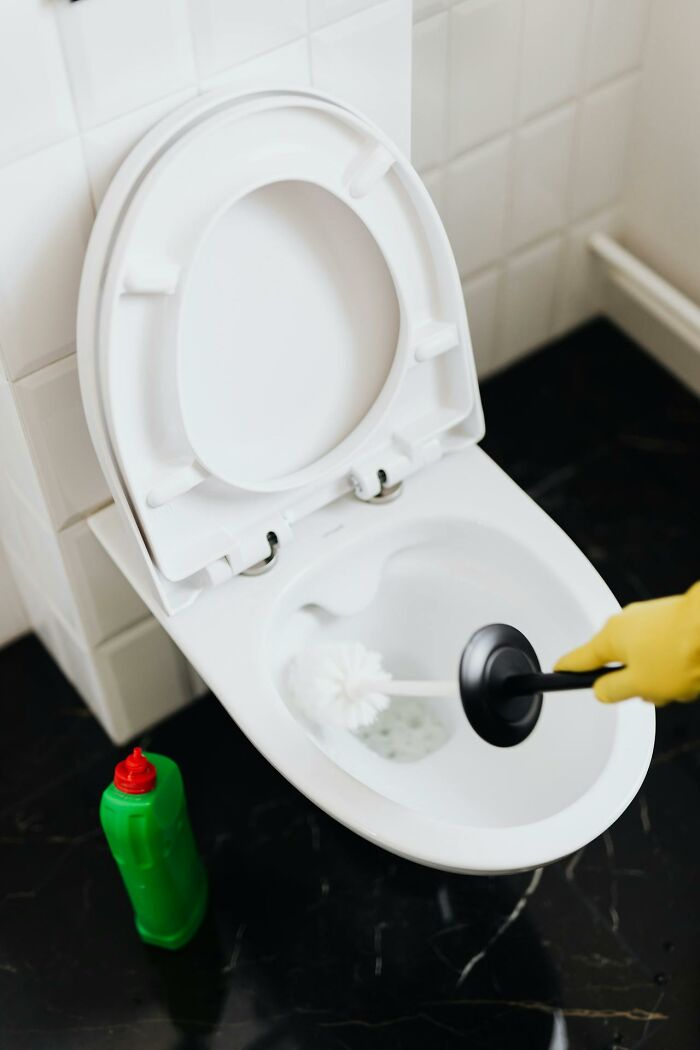 A person cleaning a toilet with a brush, a steadfast cleaning rule, and a green cleaning bottle nearby.