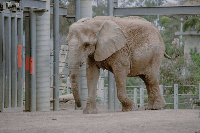 40 Moments In Which People Realized They Needed To Leave Immediately And It Saved Them