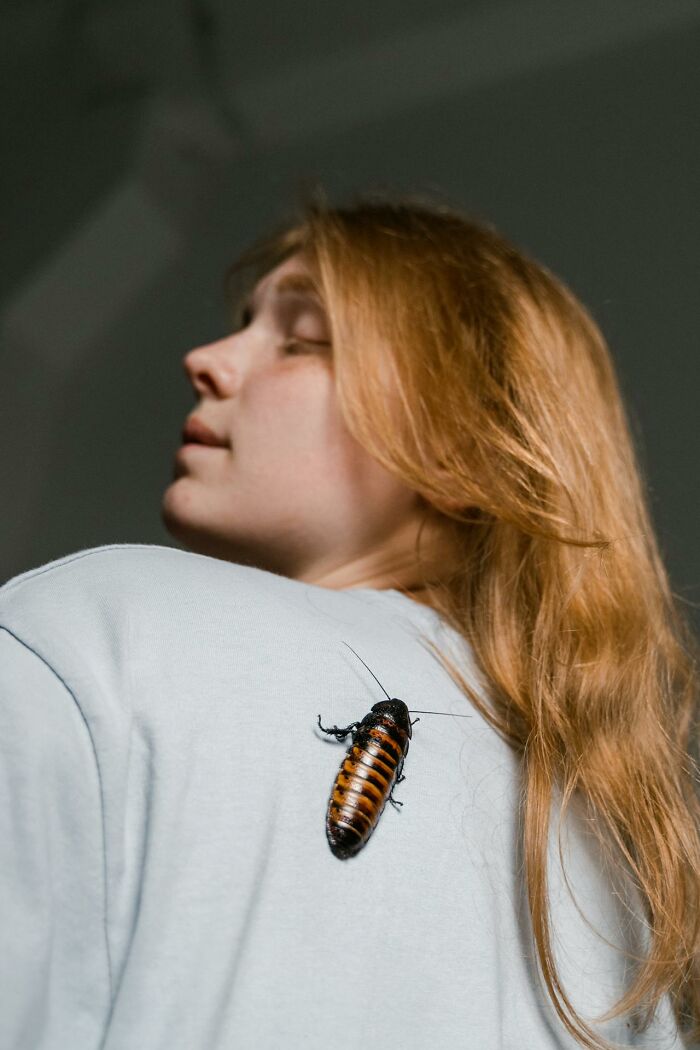 A cockroach on a woman's shoulder, representing disturbing discoveries doctors encounter.