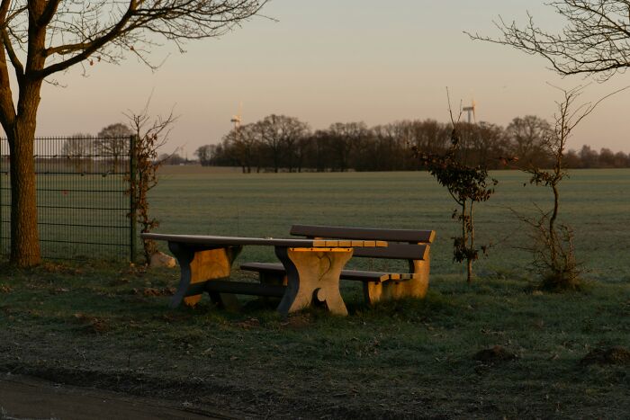 A peaceful park bench at sunset, surrounded by trees and open fields.