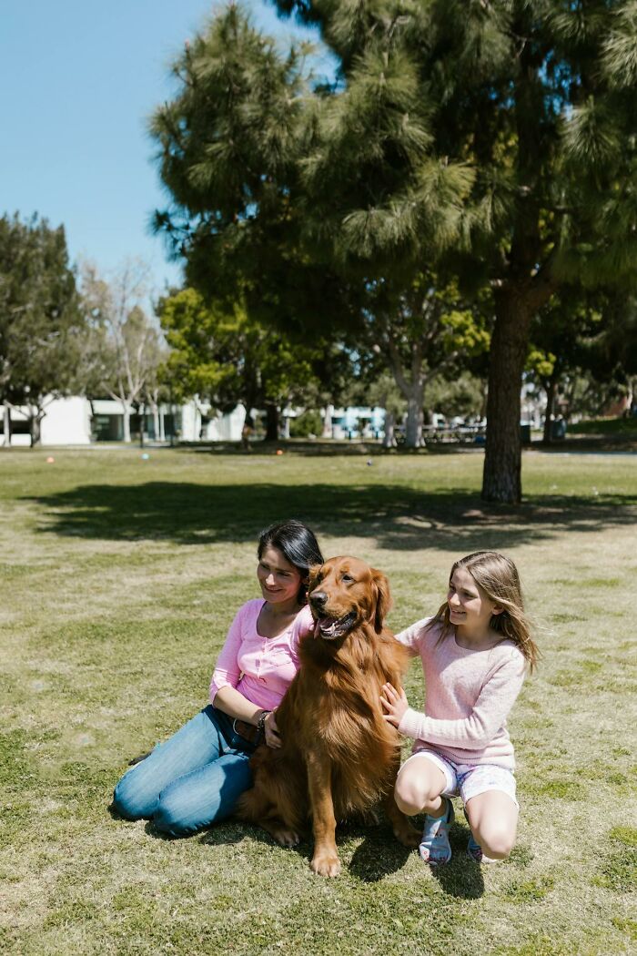 People enjoying a sunny day in the park with their dog, highlighting the joy of moving abroad permanently.