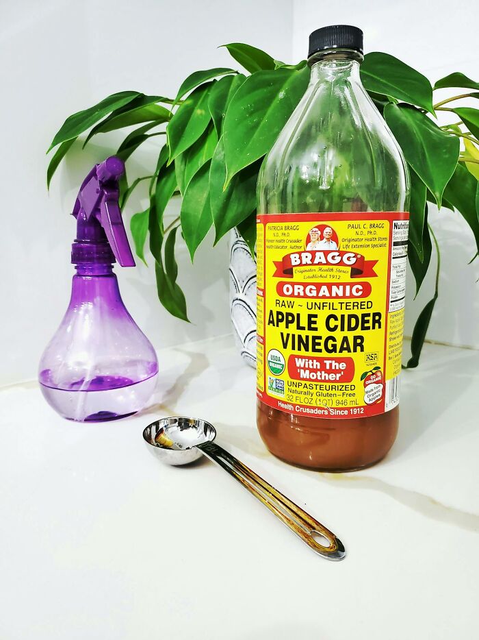 Apple cider vinegar bottle with spray bottle and measuring spoon, related to cleaning rules.