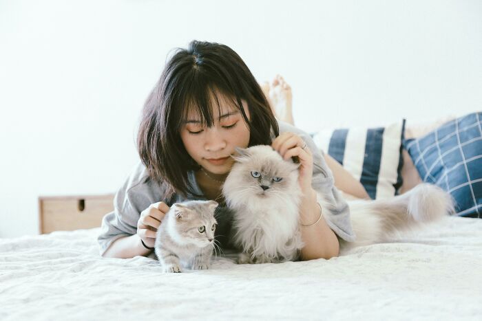 Young woman lying on bed with two cats, illustrating peaceful moments outside church after quitting due to ghastly experiences.