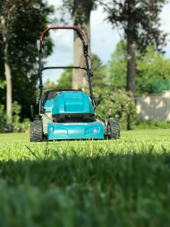 Blue lawn mower on freshly cut green grass with trees in the background representing first responders' stories.