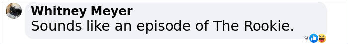 Whitney Meyer humorously compares a police chase to a scene from The Rookie.