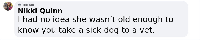 Comment criticizing Rachel Zegler for not knowing to take sick dog to vet.