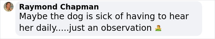 Comment about Rachel Zegler's sick dog from Raymond Chapman, discussing her daily influence.