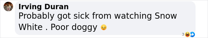 Comment about Rachel Zegler's sick dog, linking it humorously to watching Snow White.