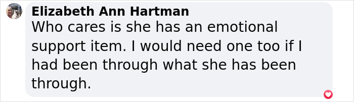 Comment by Elizabeth Ann Hartman about emotional support, referring to Britney Spears' experiences.