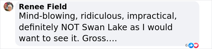 Negative comment criticizing the inclusion of plus-size dancers in ballet.
