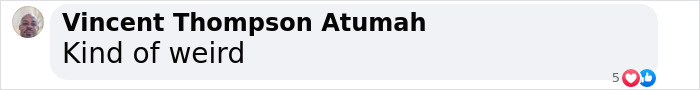 Text comment from Vincent Thompson Atumah stating "Kind of weird" with social media interaction icons. Text comment from Vincent Thompson Atumah stating "Kind of weird" with social media interaction icons.