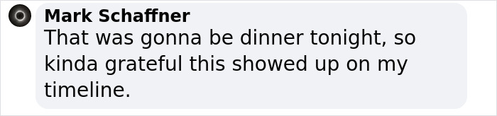 Comment on cheddar bratwursts recall due to hard plastic found, expressing relief.