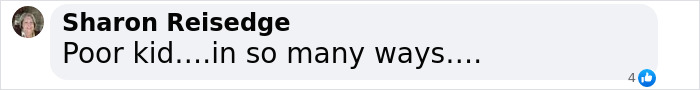 Comment by Sharon Reisedge on Elon Musk's jaw-dropping offer, expressing pity with 'Poor kid...in so many ways.... Comment by Sharon Reisedge on Elon Musk's jaw-dropping offer, expressing pity with 'Poor kid...in so many ways....
