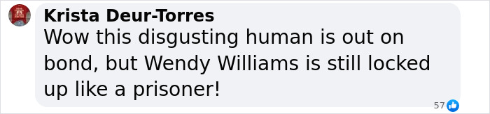 Comment criticizing a "disgusting human" out on bond while Wendy Williams remains imprisoned.