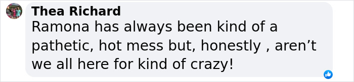 Comment about Ramona Singer being a "hot mess," humorously discussing the appeal of her personality.