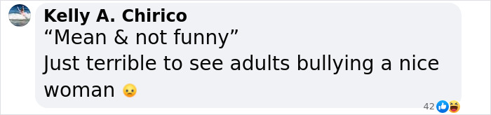 Comment discussing SNL drama, criticizing bullying behavior as "mean & not funny," with an emoji and Facebook reactions.