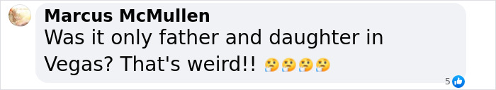 Comment questioning father and daughter Vegas trip, expressing concern with emoji reactions.