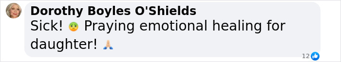 Comment expressing outrage over politician's assault on daughter.