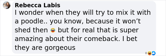 Comment on dire wolves' comeback, joking about mixing them with poodles for non-shedding.