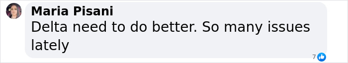 Maria Pisani's comment criticizing Delta after passengers stranded overnight due to flight issues. Maria Pisani's comment criticizing Delta after passengers stranded overnight due to flight issues.