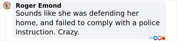 Facebook comment by user on incident involving Weezer bassist's wife and police.