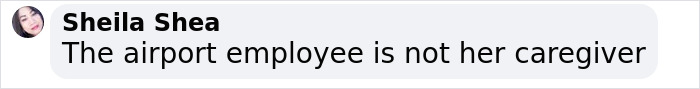Comment by Sheila Shea on airport employee responsibility regarding a plus-sized passenger and wheelchair assistance.