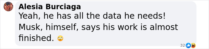 Comment discussing Elon Musk stepping down from DOGE.