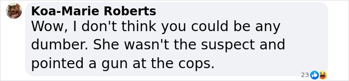 Comment on hit-and-run suspect confusion involving Weezer bassist's wife in LA.