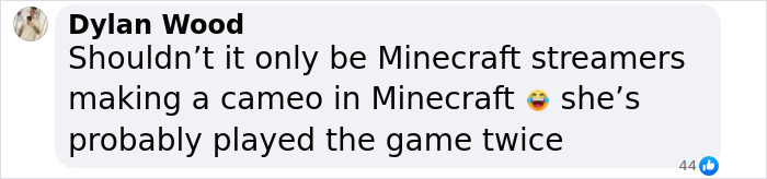 Comment criticizing a streamer&rsquo;s limited 'Minecraft' experience for a cameo, highlighting Minecraft scene controversy.