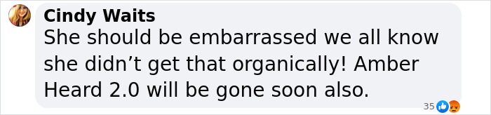 A comment by Cindy Waits criticizing someone, refers to "Amber Heard 2.0.