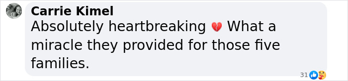 Comment expressing heartbreak and mentioning the miracle provided for families, related to parenting influencer.