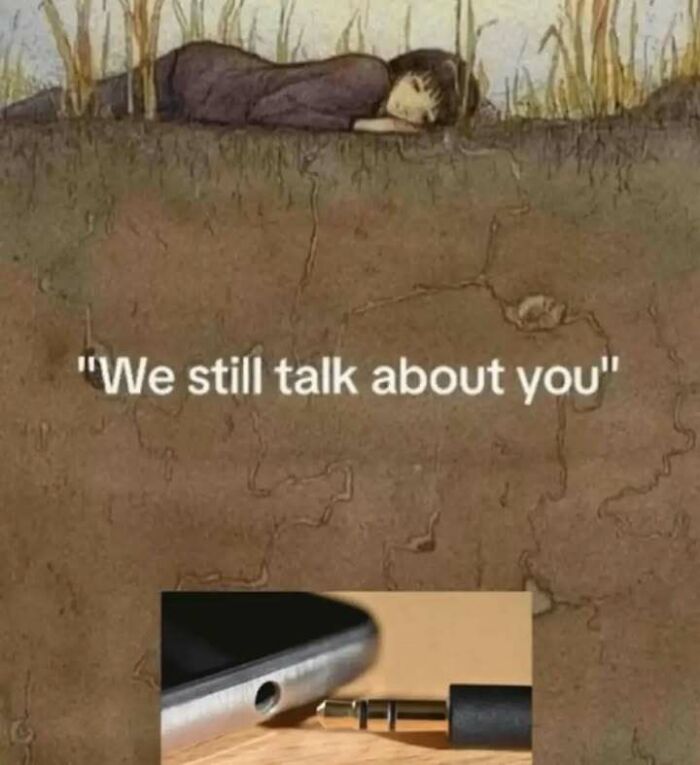 A funny meme showing a person lying on grass with text "We still talk about you," and an unplugged headphone jack.