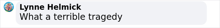 Comment on social media by Lynne Helmick expressing sadness over a tragic loss related to Virginia Giuffre’s final note. Comment on social media by Lynne Helmick expressing sadness over a tragic loss related to Virginia Giuffre’s final note.