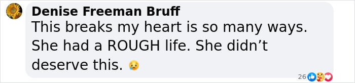Comment by Denise Freeman Bruff expressing heartbreak over Virginia Giuffre’s tragic final note after her death. Comment by Denise Freeman Bruff expressing heartbreak over Virginia Giuffre’s tragic final note after her death.