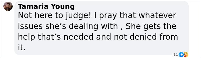 Text screenshot of a supportive comment regarding a mother's response to toddlers wandering. Text screenshot of a supportive comment regarding a mother's response to toddlers wandering.