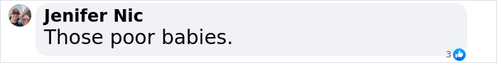 A Facebook comment about toddlers, expressing sympathy with the words: "Those poor babies. A Facebook comment about toddlers, expressing sympathy with the words: "Those poor babies.