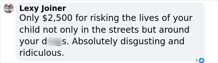 Comment criticizing mother after toddlers found wandering, highlighting shocking response and endangerment. Comment criticizing mother after toddlers found wandering, highlighting shocking response and endangerment.